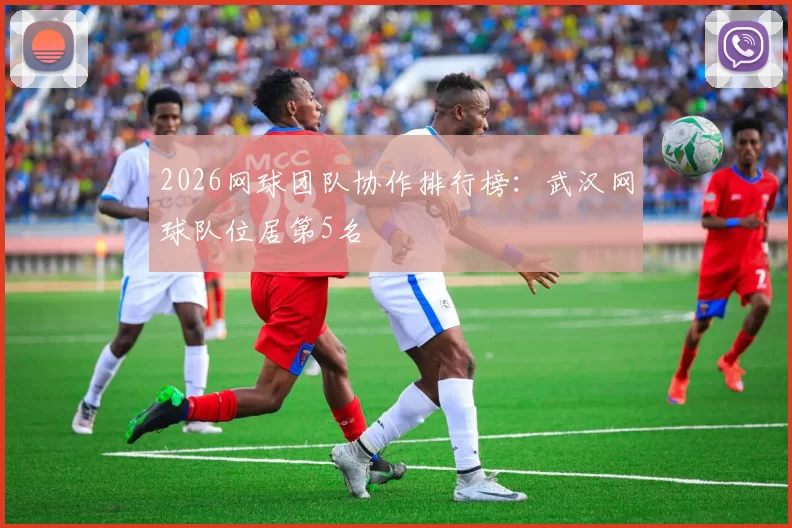 2026网球团队协作排行榜：武汉网球队位居第5名