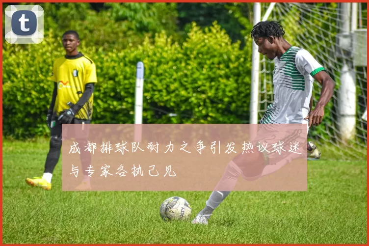 成都排球队耐力之争引发热议球迷与专家各执己见