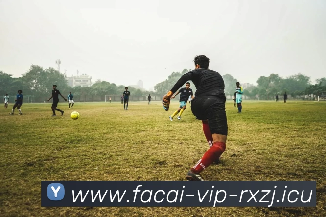 乐竞体育APP 封面图